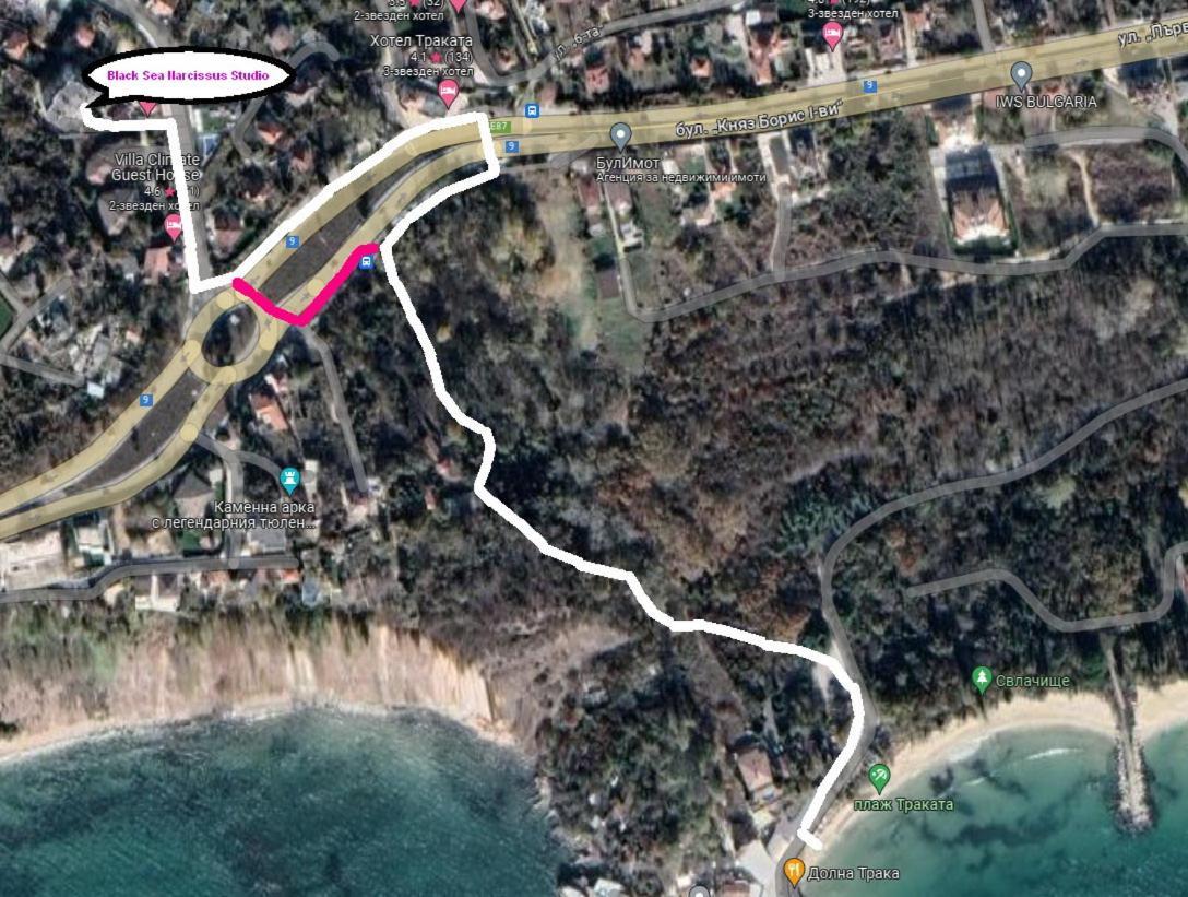 Black Sea Narcissus - Quiet Studio With Amazing Sea View Varna Buitenkant foto